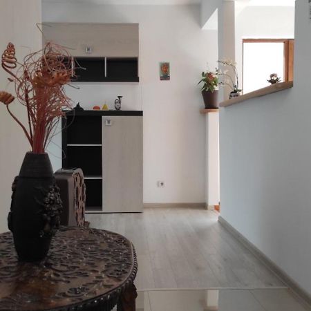 Apartament Trei Stejari Nagyszeben Kültér fotó