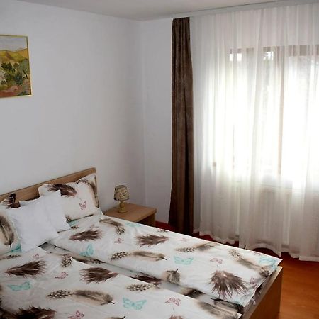 Apartament Trei Stejari Nagyszeben Kültér fotó